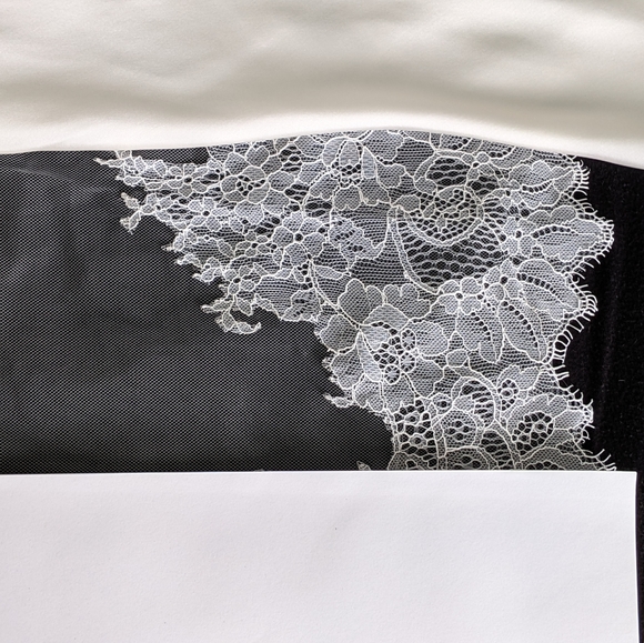 Cathedral Lace Wedding Veil - Picture 8 of 9